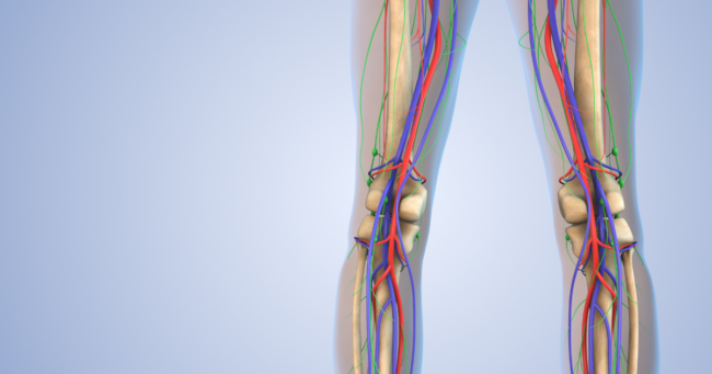 How Fast Do Nerves Recover?